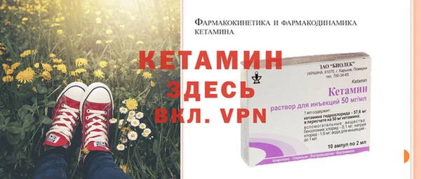 сатива Бородино