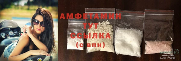 сатива Бородино