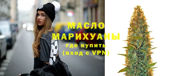 сатива Бородино