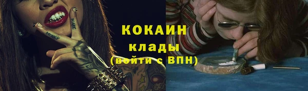 сатива Бородино