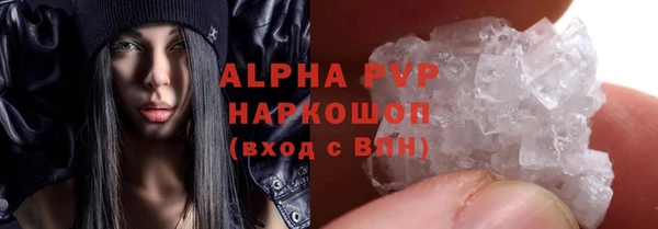 сатива Бородино
