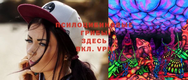 сатива Бородино