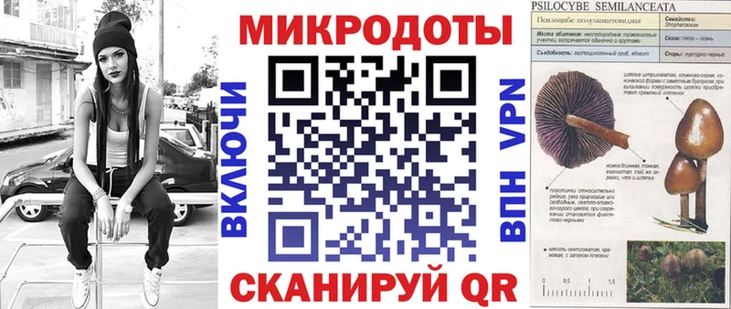 сколько стоит  Мегион  Псилоцибиновые грибы Psilocybe 